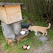 futter