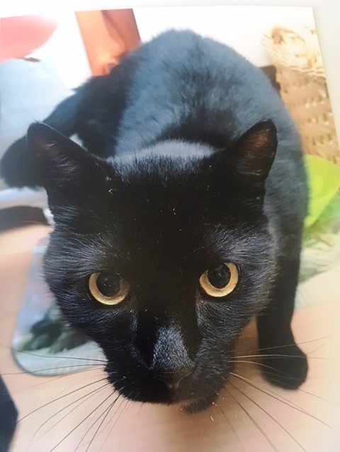 Sammy 2018-09