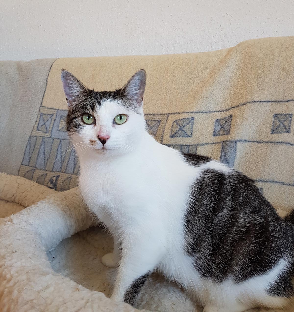 Jenny-2019-03