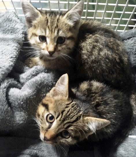 Simon + Sarafina_02
