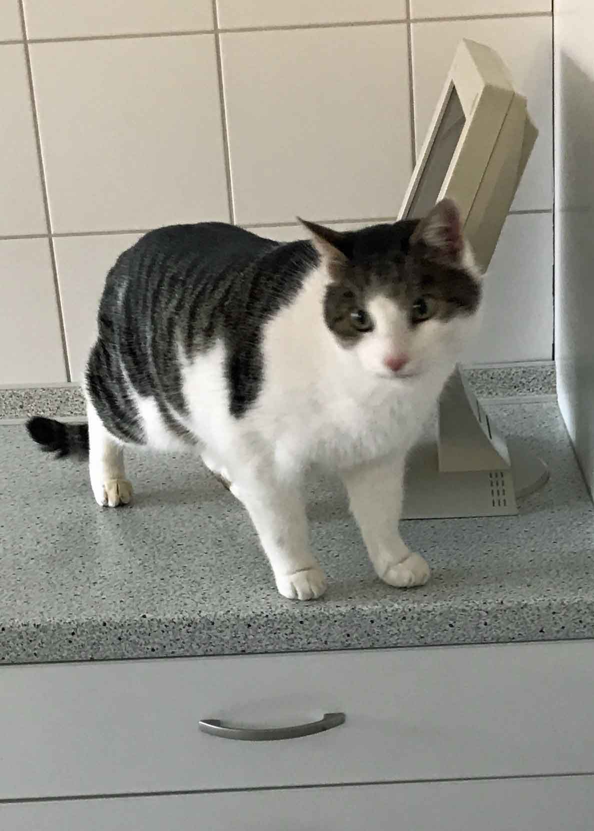 Hugo04