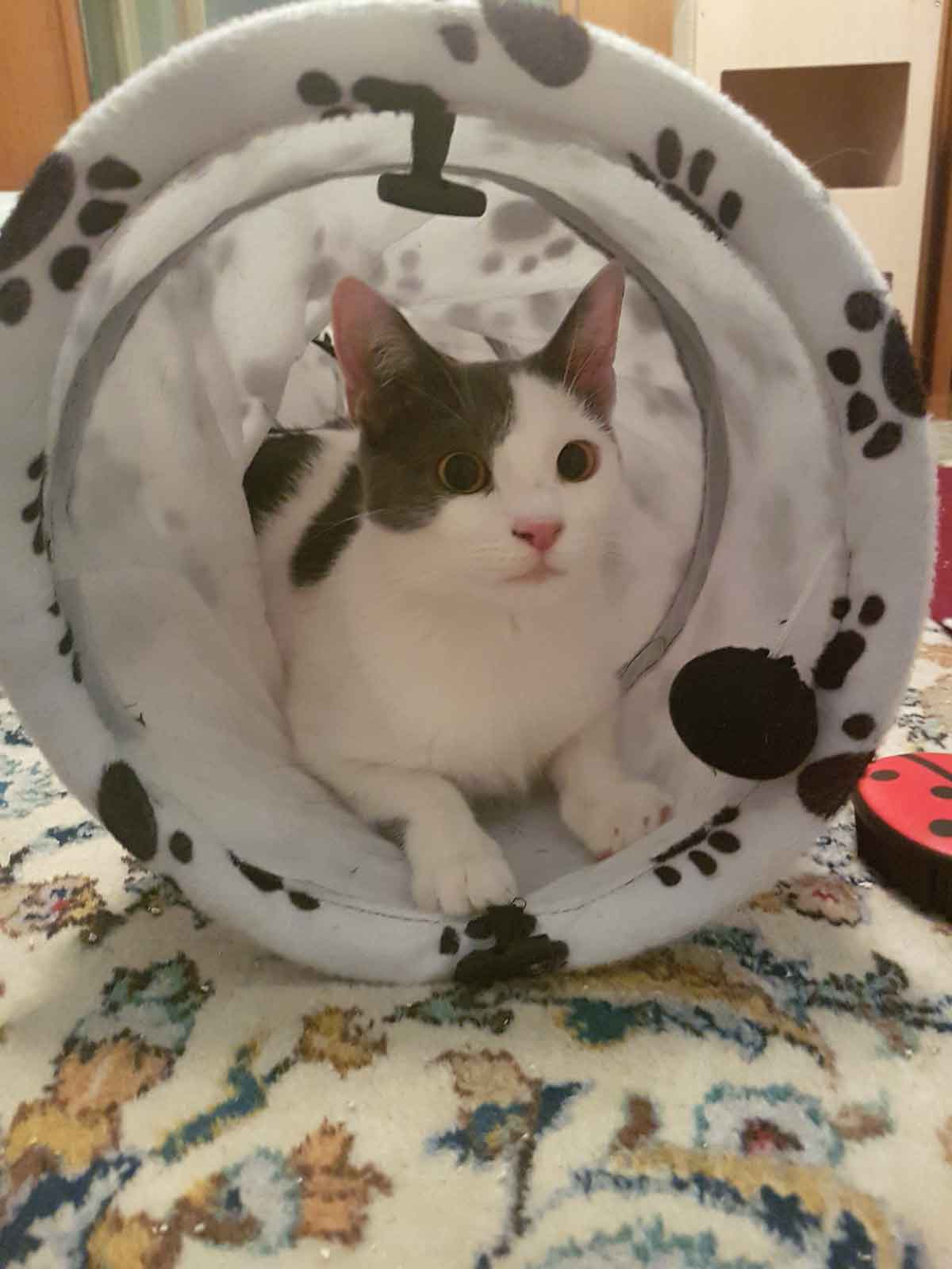 007