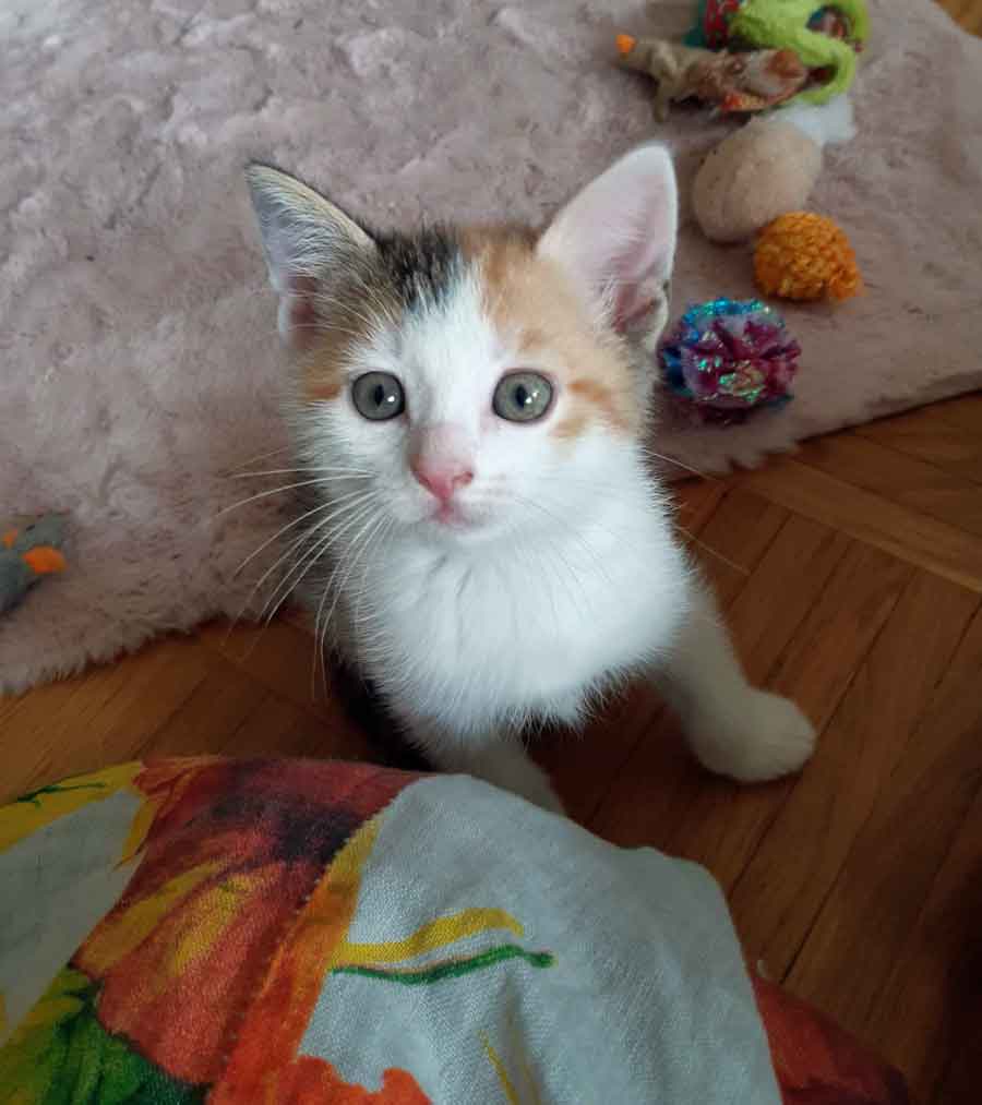 Mädchen1_02
