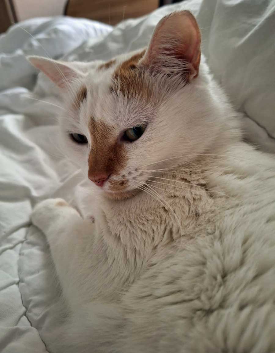 Hermine_0002