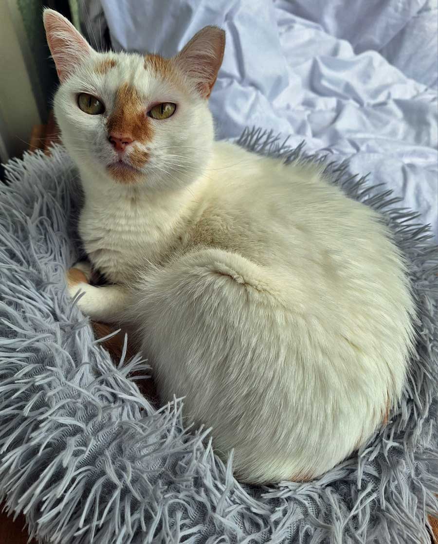 Hermine_0005