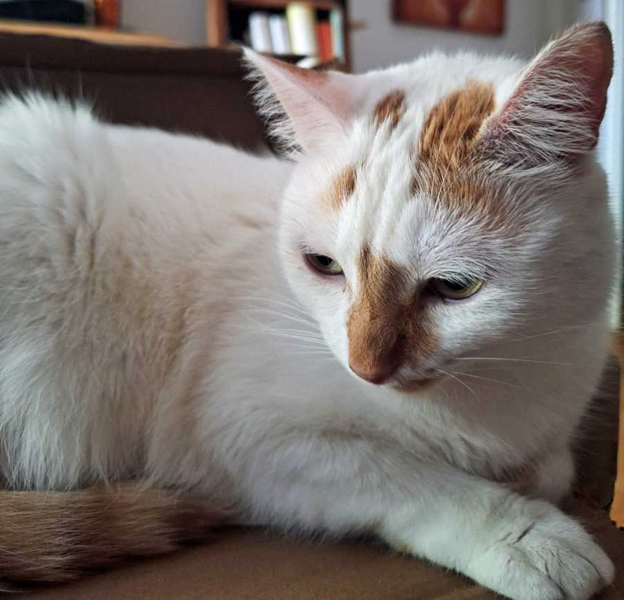 Hermine_0007